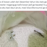 Sudah Tersimpan Setahun, Apakah Beras Masih Layak Dikonsumsi?