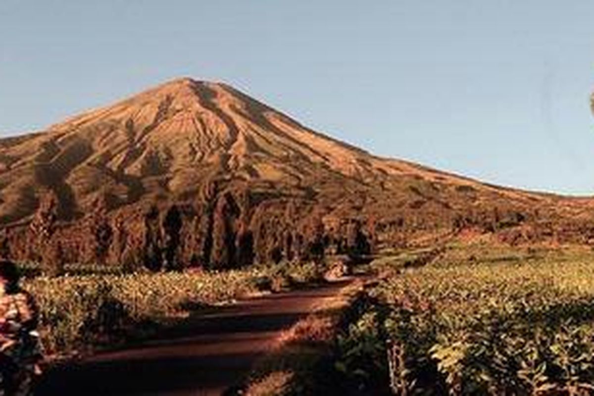 Gunung Sindoro