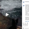 Video Viral Ikan Berlompatan ke Pinggir Pantai di Jogja, Apa yang Terjadi?
