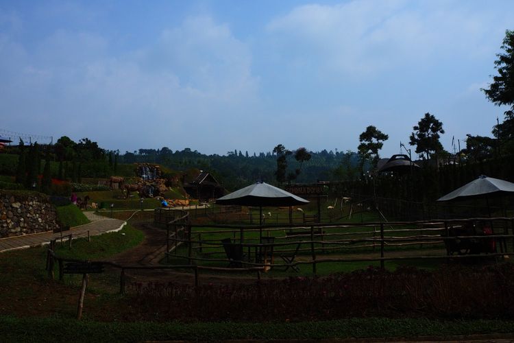 Nikmati suasana alam bersama keluarga di The Ranch di Puncak.