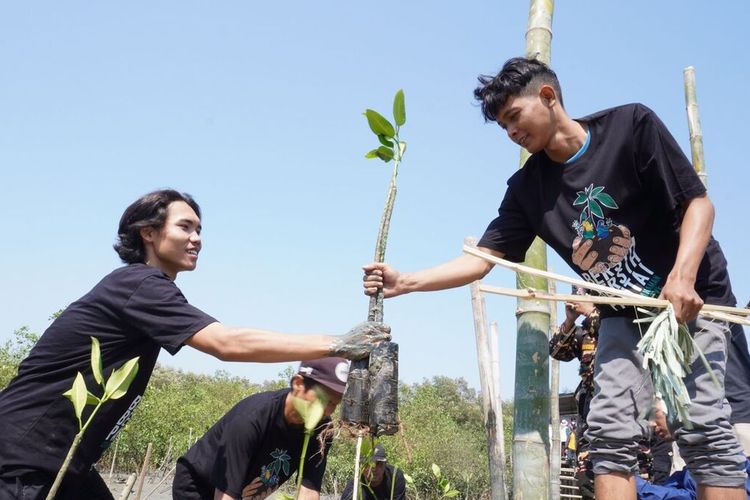 Penanaman mangrove di pesisir Romokalisari Surabaya, Jumat (20/10/2023), sebagai rangkaian peringatan Hari Santri 2023 yang dipusatkan di Surabaya