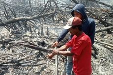 Bakar Lahan untuk Kebun Sawit, Seorang Pria Ditangkap di Rokan Hilir