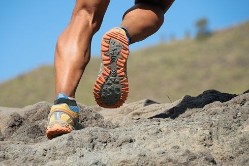 Apakah Sepatu Lari Bisa Digunakan untuk Naik Gunung?