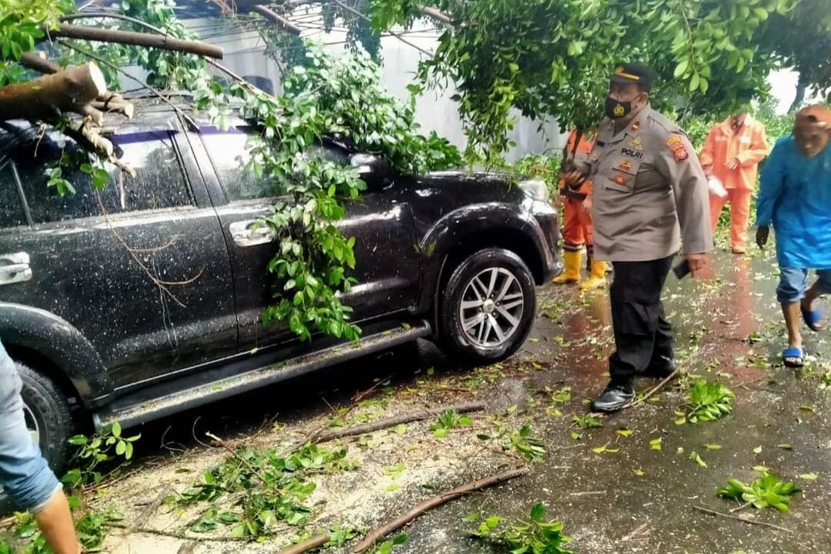 Sebuah mobil tertimpa pohon tumbang di Jalan Panjang, Kebon Jeruk, Jakarta Barat, Sabtu (11/12/2021) pukul 16.36 WIB. 
