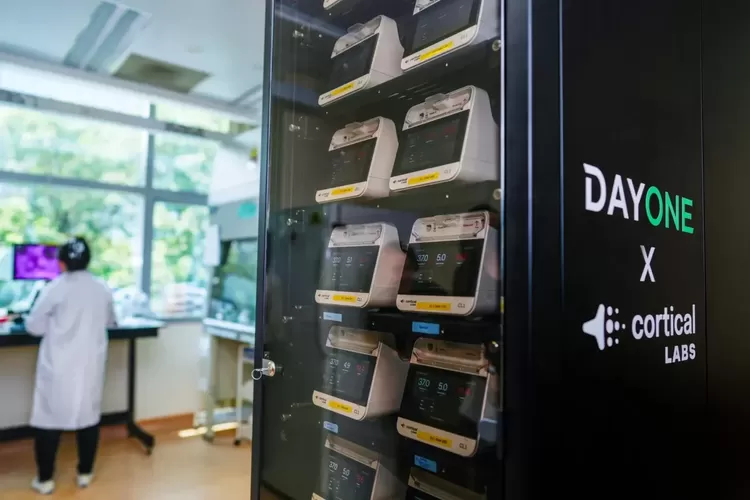 Singapura Buka Data Center AI Pertama Pakai Sel Otak Manusia