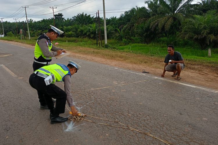 Petugas Satlantas Polres Rohil melakukan olah TKP pada kasus kecelakaan lalu lintas yang menewaskan dua orang wanita di jalan lintas Riau-Sumut di Kabupaten Rokan Hilir, Riau, Jumat (2/2/2024).