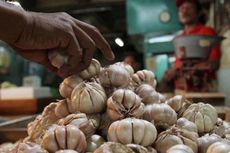 Harga Terus Naik, Pemerintah Harus Evaluasi Impor Bawang Putih