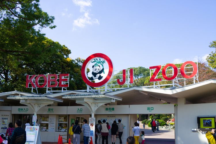 Ilustrasi Kobe Oji Zoo di Jepang