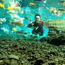 Pemandian Tirtosari Lumajang, Bisa Foto Underwater Bareng Ikan-ikan
