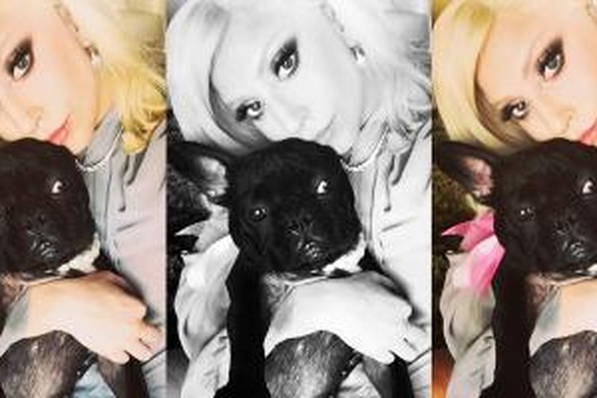 Miss Asia Kinney sang anjing kesayangan, berpose bersama Lady Gaga.