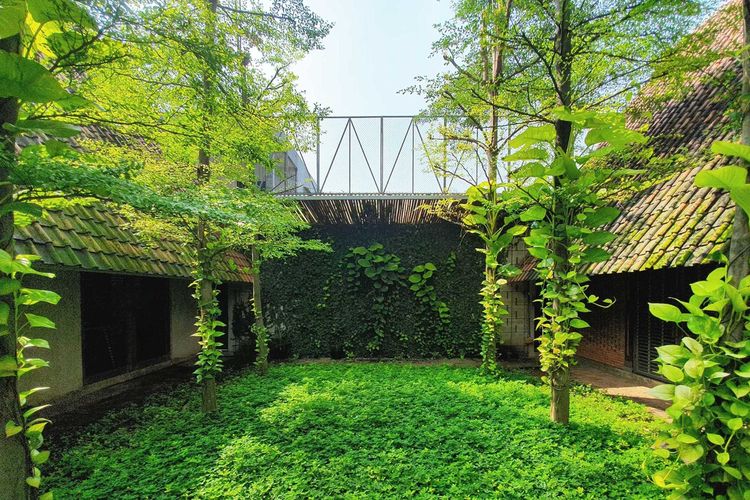 Desain taman rumah yang rimbun karya arsitek Pramudya 