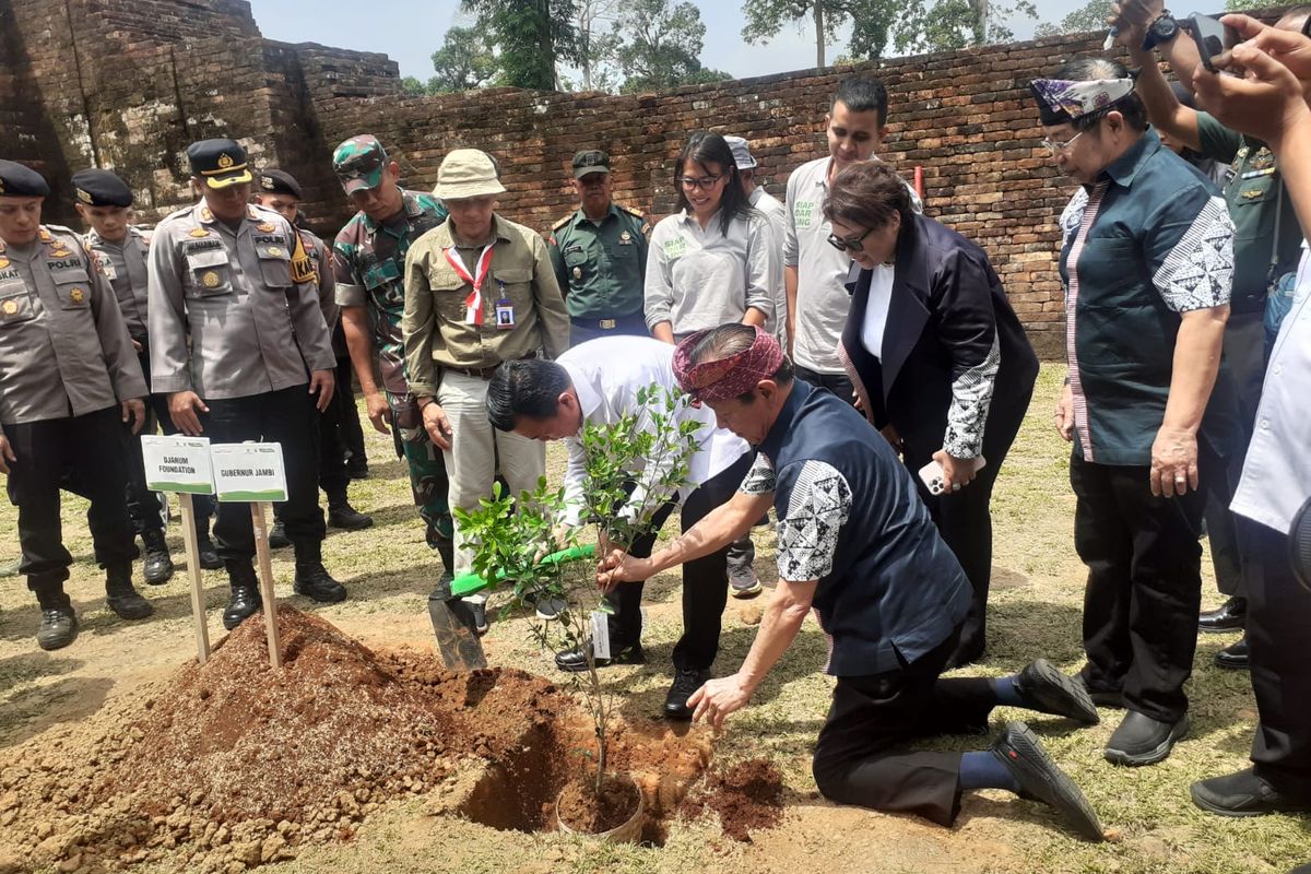 Penghijauan KCBN Candi Muaro Jambi di Kabupaten Muaro Jambi lewat aksi Siap Sadar Lingkungan (Darling) Bakti Lingkungan Djarum Foundation (BLDF) pada Rabu (23/8/2023).