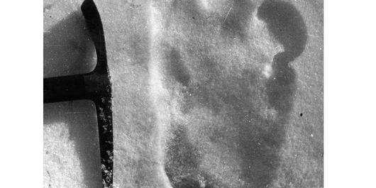 Jejak kaki Yeti yang diabadikan oleh Eric Shipton