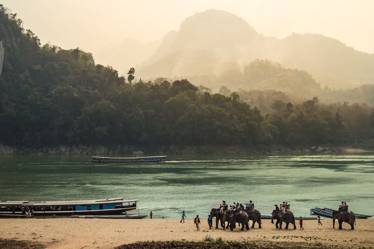 Ilustrasi gajah di Luang Prabang Laos