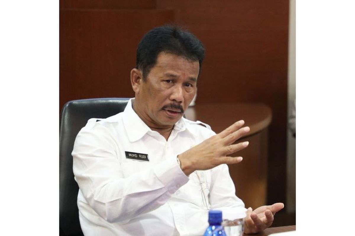 Kepala BP Batam Muhammad Rudi. 