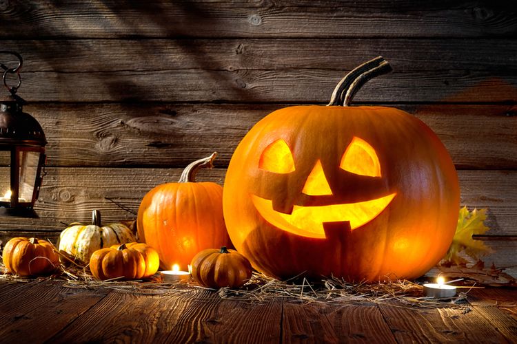 Apa Makna Kepala Labu dalam Perayaan Halloween? Ini Asal-usulnya