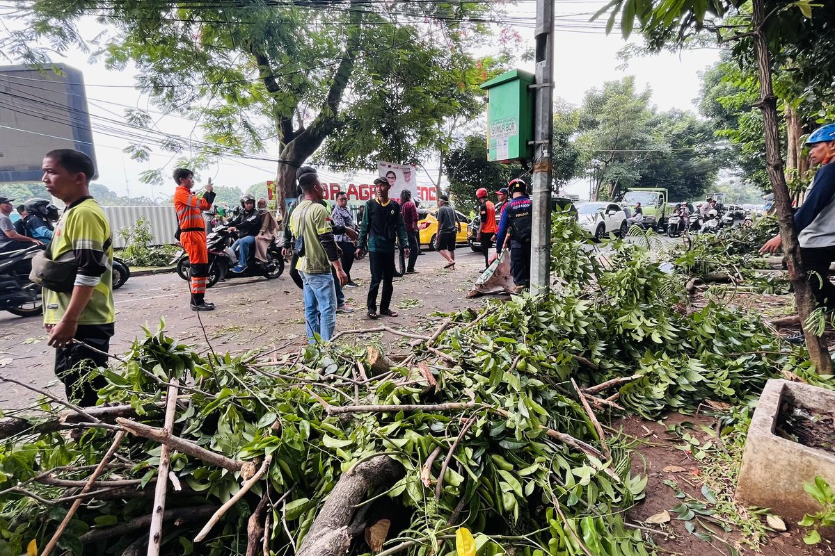 Pengendara Motor Tewas Tertimpa Dahan Pohon, Saksi: Padahal Cerah, Enggak Ada Angin Hujan 