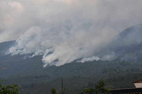Pendopo Keraton Solo dan Petilasan Brawijaya V Tidak Terkena Kebakaran Hutan Gunung Lawu