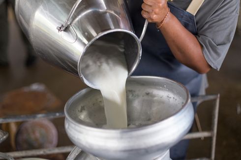 Hari Susu Sedunia 2020, Kenapa Lembang Jadi Daerah Penghasil Susu Pertama di Indonesia?