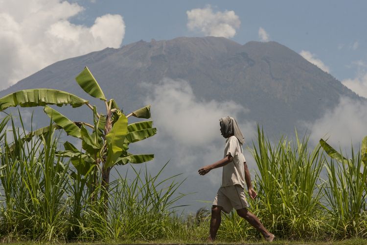 Warga melintasi perkebunan dengan pemandangan Gunung Agung yang kini masih berstatus awas, di Kota Amlapura, Karangasem, Bali, Kamis (19/10). Selama 28 hari sejak ditetapkan berstatus awas Gunung Agung masih belum menunjukkan erupsi namun Pusat Vulkanologi dan Mitigasi Bencana Geologi (PVMBG) mencatat aktifitas gunung tersebut masih tergolong tinggi. ANTARA FOTO/Nyoman Budhiana/aww/17.