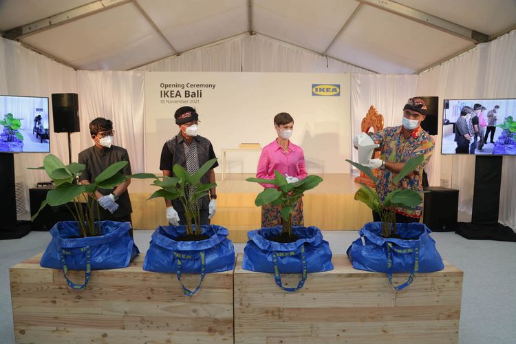 Penyiraman tanaman Calathea yang merupakan simbol kepedulian IKEA akan lingkungan saat pembukaan IKEA BaLI