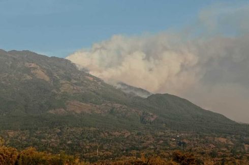 Kebakaran Hutan Gunung Lawu Semakin Meluas ke Sisi Selatan