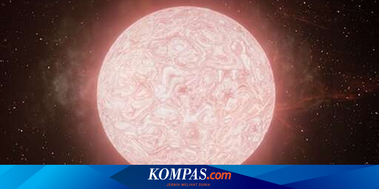 Berita Harian Jenis-jenis-bintang Terbaru Hari Ini - Kompas.com
