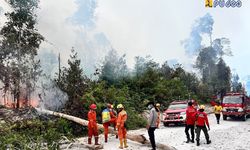 Karhutla Lahap 5 Hektar Lahan di Berau, PU Turunkan "Water Supply"