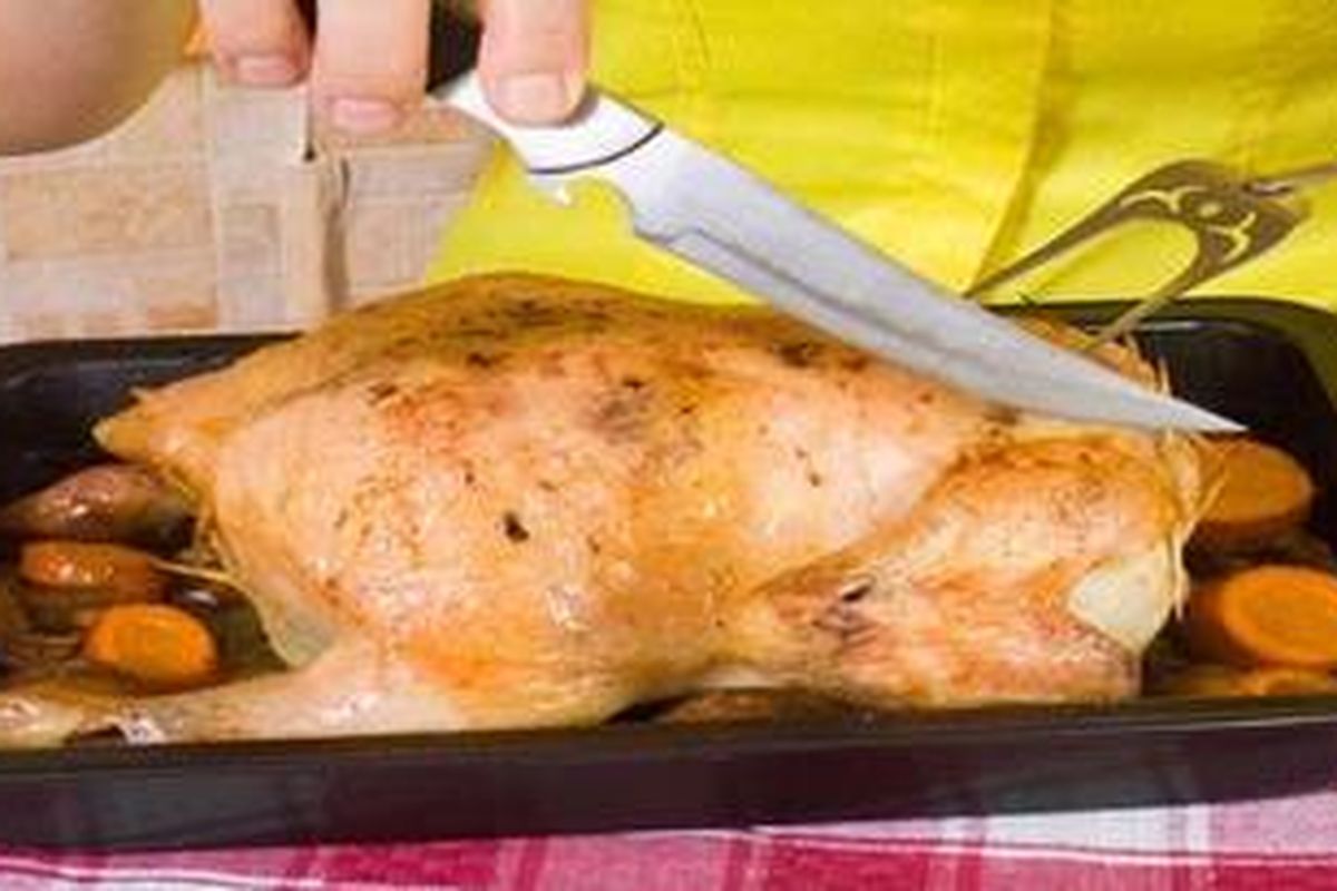 Ilustrasi daging ayam 