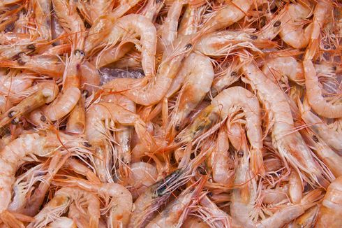 China Detects Traces of Coronavirus in Ecuadorian Shrimp Packaging