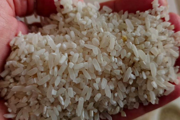 Ilustrasi beras oplosan