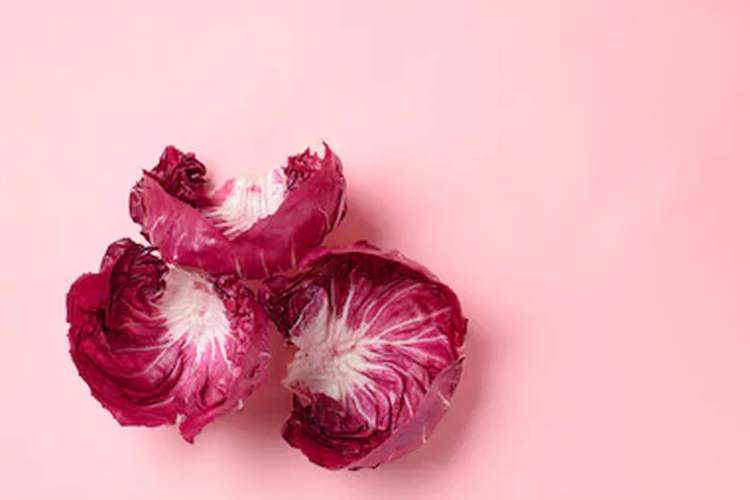 Ilustrasi pink lettuce atau selada merah muda