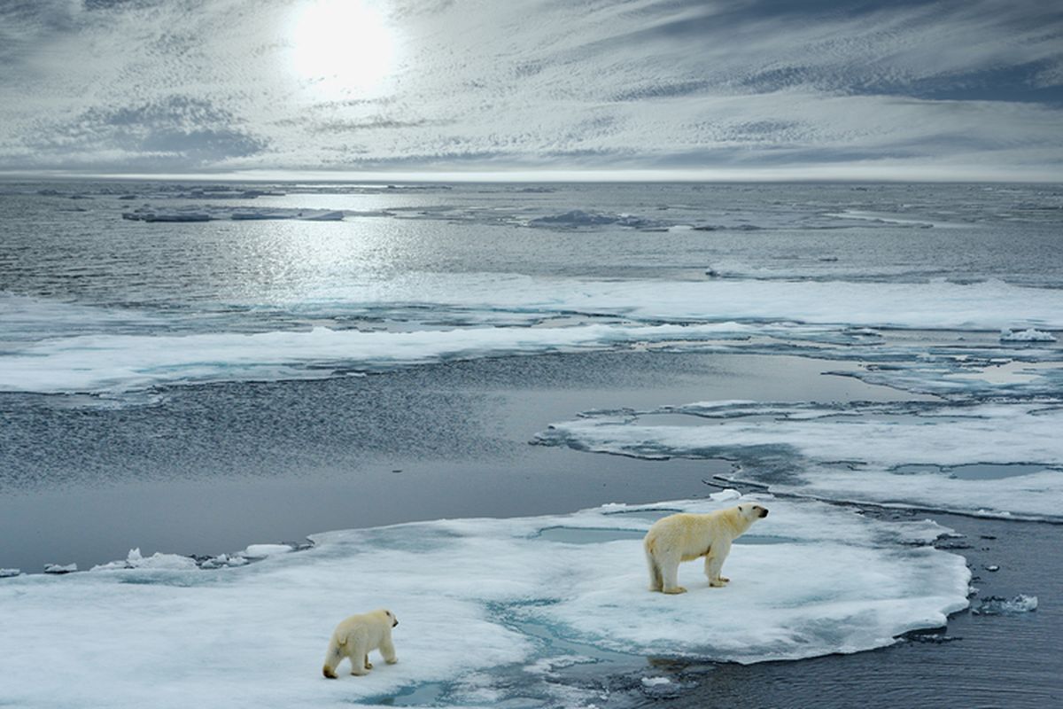 Ilustrasi pemanasan global. Es di arktik mencair.