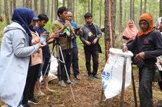 Menabung 3 Tahun, Penyadap Getah Pinus Bisa Bangun Rumah Rp 200 Juta 