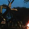 Hujan Deras dan Angin Kencang, Pohon Tumbang Timpa Mobil di Cianjur