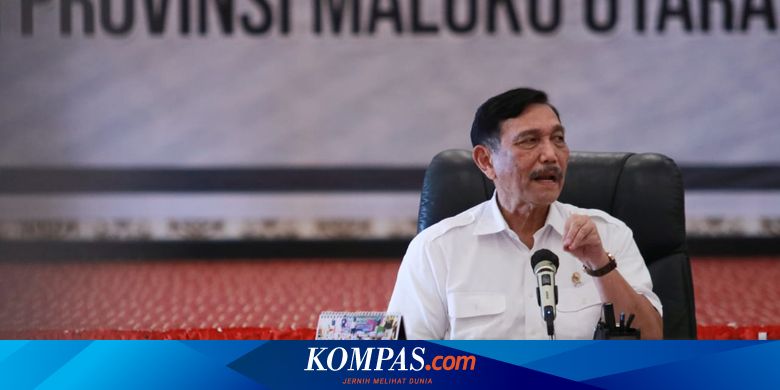 Luhut Prediksi Situasi Pandemi Bisa Membaik dalam 5 Hari Mendatang, Ini Syaratnya - Vimarsana News