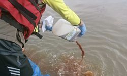 1.500 Ecoenzym Dituang ke Sungai Cisadane, Ahli Jelaskan Efektivitasnya 