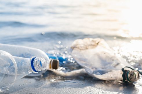 Hari Laut Sedunia, Berapa Banyak Sampah Plastik di Laut?
