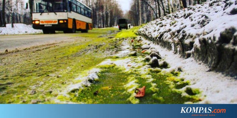  Warna Putih Salju di Rusia Berubah Hijau akibat Polusi