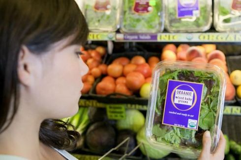 Haruskah Anak-anak Mengonsumsi Makanan Organik?