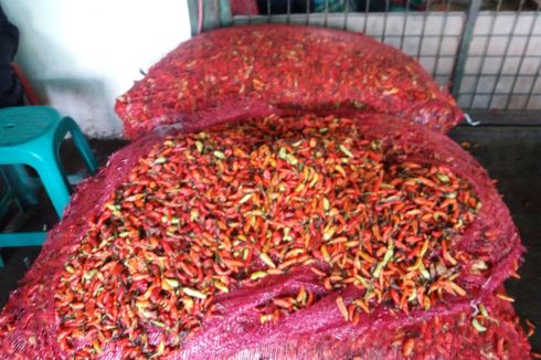 Cabai Rawit Merah Capai Rp 90.000 Per Kg, Berapa Harga di Petani?