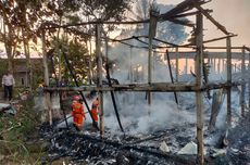 Kandang Ternak di Ambarawa Terbakar, 7.000 Anak Ayam Hangus Dilalap Api