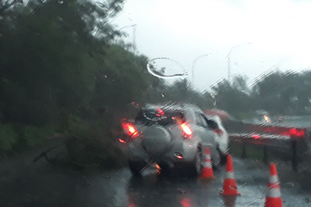 Sejumlah pohon terlihat tumbang, bahkan hingga menutupi jalan di pintu tol keluar Serpong, Selasa (28/3/2017), pukul 16.00 WIB.