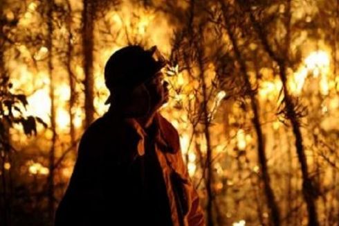 PBB: Kebakaran Hutan di Australia Contoh Perubahan Iklim