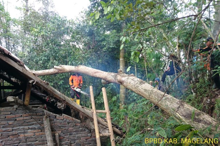 Petugas gabungan BPBD Magelang sedang membersihkan pohon tumbang yang menimpa rumah warga, Jumat (9/11/2018).