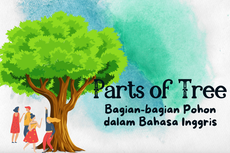 Parts of Tree, Belajar Bagian-bagian Pohon dalam Bahasa Inggris