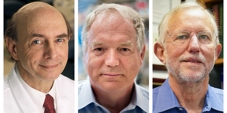 Kolase foto yang memperlihatkan (dari kiri) Harvey J Alter, Charles M Rice, dan Michael Houghton, yang bersama-sama meraih Penghargaan Nobel bidang kedokteran pada Senin (5/10/2020) atas identifikasi virus hepatitis C.