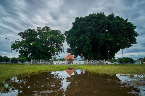 Tradisi Masangin dan Mitos Melewati Pohon Beringin Kembar di Alun-Alun Kidul Yogyakarta