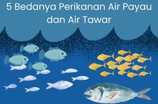 5 Bedanya Perikanan Air Payau dan Air Tawar