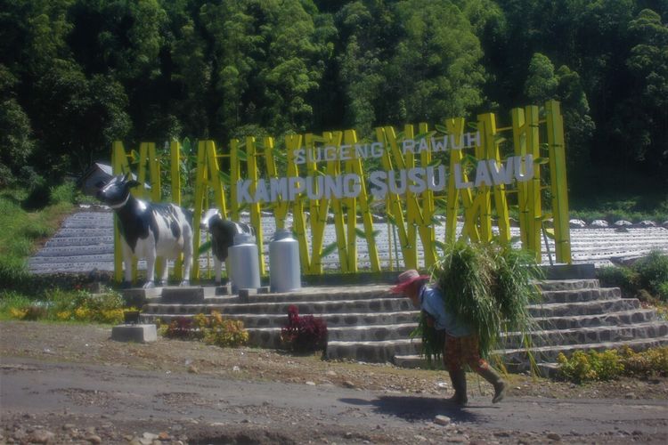 Puluhan sapi perah di Kabupaten Magetan dilaporkan mulai terjangkit penyakit mulut dan kuku. Enam sapi perah bahkan dilaporkan mati. PMK di Magetan sangat mempengaruhi penurunan produk susu segar.